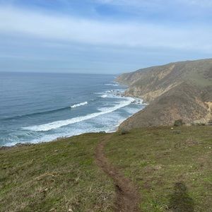 Meet your Posher, Linnea